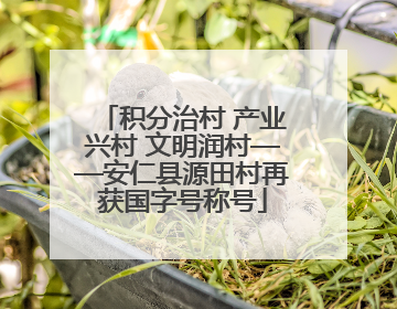积分治村 产业兴村 文明润村——安仁县源田村再获国字号称号