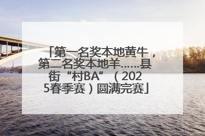 第一名奖本地黄牛，第二名奖本地羊……县街“村BA”（2025春季赛）圆满完赛