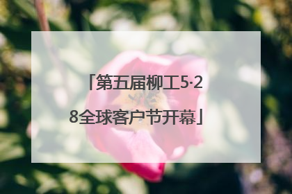第五届柳工5·28全球客户节开幕