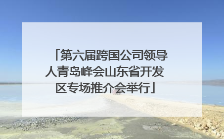 第六届跨国公司领导人青岛峰会山东省开发区专场推介会举行