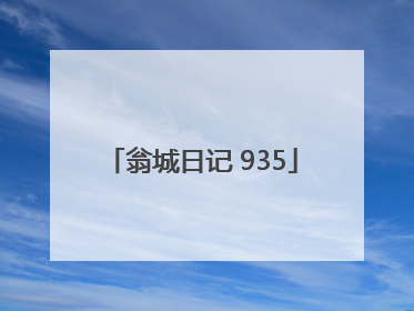 翁城日记 935