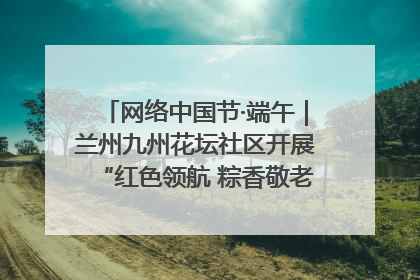 网络中国节·端午｜兰州九州花坛社区开展“红色领航 粽香敬老”端午主题活动