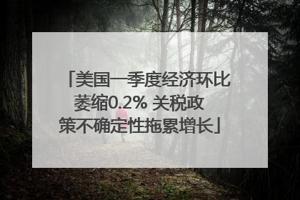 美国一季度经济环比萎缩0.2% 关税政策不确定性拖累增长