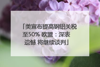 美宣布提高钢铝关税至50% 欧盟：深表遗憾 将继续谈判