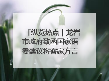纵览热点｜龙岩市政府致函国家语委建议将客家方言“亻厓”字录入《新华字典》引发热议，当地回应