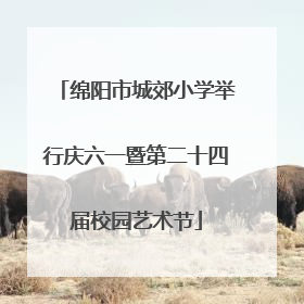 绵阳市城郊小学举行庆六一暨第二十四届校园艺术节