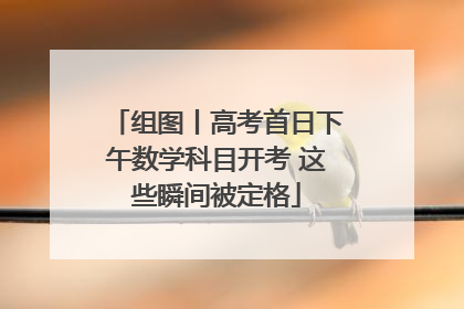 组图丨高考首日下午数学科目开考 这些瞬间被定格