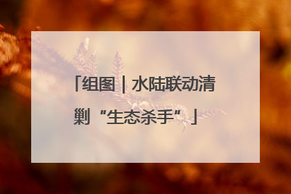 组图｜水陆联动清剿“生态杀手”