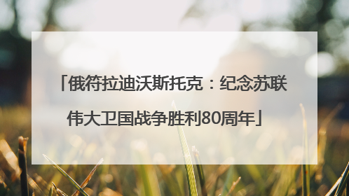 俄符拉迪沃斯托克：纪念苏联伟大卫国战争胜利80周年