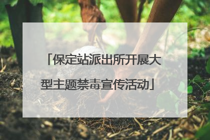 保定站派出所开展大型主题禁毒宣传活动
