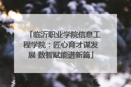 临沂职业学院信息工程学院：匠心育才谋发展 数智赋能谱新篇