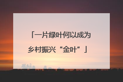 一片绿叶何以成为乡村振兴“金叶”