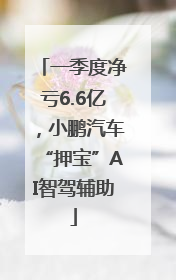 一季度净亏6.6亿，小鹏汽车“押宝”AI智驾辅助
