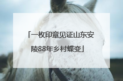 一枚印章见证山东安陵88年乡村蝶变