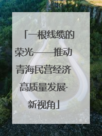 一根线缆的荣光——推动青海民营经济高质量发展·新视角