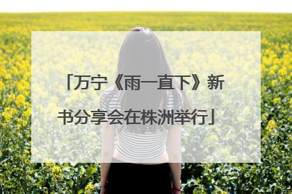 万宁《雨一直下》新书分享会在株洲举行