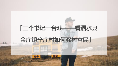 三个书记一台戏——看泗水县金庄镇辛庄村如何强村富民
