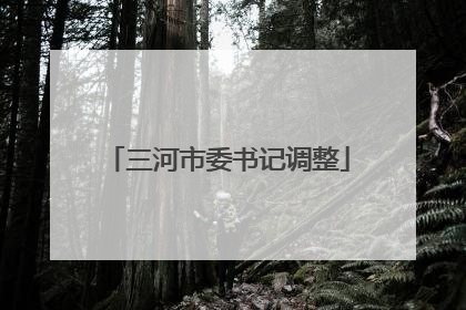 三河市委书记调整