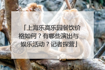 上海乐高乐园餐饮价格如何？有哪些演出与娱乐活动？记者探营