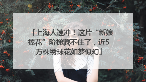 上海人速冲！这片“新娘捧花”阶梯藏不住了，近5万株绣球花如梦似幻