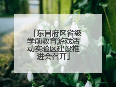 东昌府区省级学前教育游戏活动实验区建设推进会召开