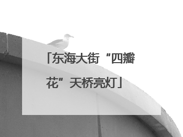 东海大街“四瓣花”天桥亮灯