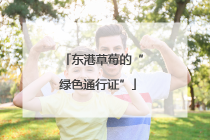 东港草莓的“绿色通行证”