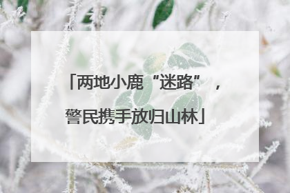 两地小鹿“迷路”，警民携手放归山林