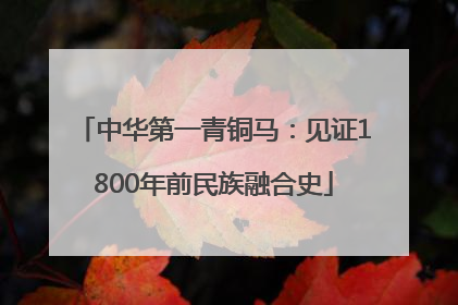 中华第一青铜马：见证1800年前民族融合史