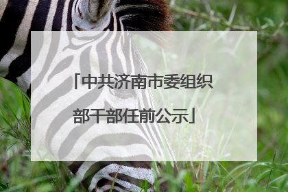 中共济南市委组织部干部任前公示