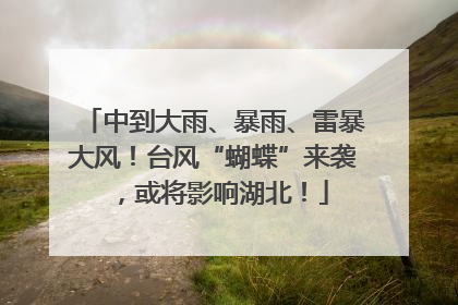 中到大雨、暴雨、雷暴大风！台风“蝴蝶”来袭，或将影响湖北！
