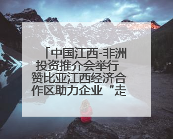 中国江西-非洲投资推介会举行 赞比亚江西经济合作区助力企业“走出去”