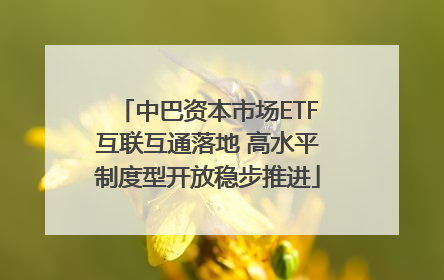 中巴资本市场ETF互联互通落地 高水平制度型开放稳步推进