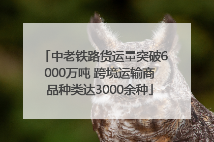 中老铁路货运量突破6000万吨 跨境运输商品种类达3000余种