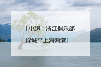 中超：浙江俱乐部绿城平上海海港