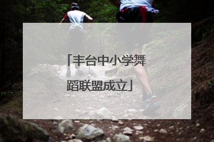 丰台中小学舞蹈联盟成立