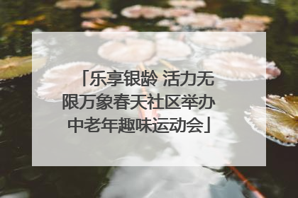 乐享银龄 活力无限万象春天社区举办中老年趣味运动会