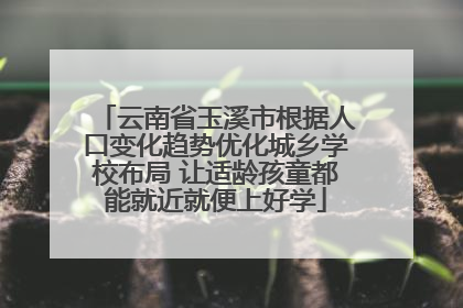 云南省玉溪市根据人口变化趋势优化城乡学校布局 让适龄孩童都能就近就便上好学
