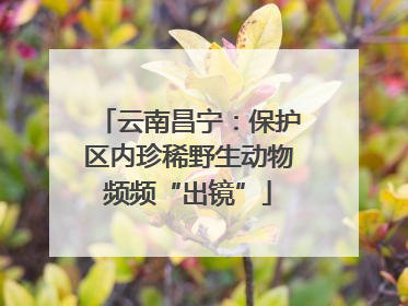 云南昌宁：保护区内珍稀野生动物频频“出镜”