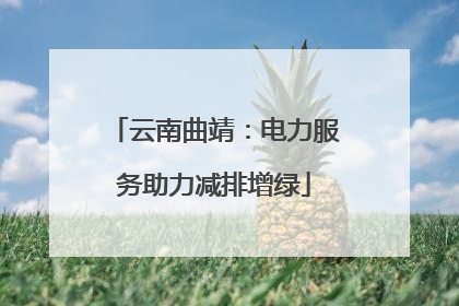 云南曲靖：电力服务助力减排增绿