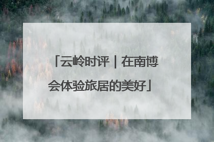 云岭时评｜在南博会体验旅居的美好