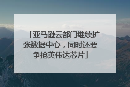 亚马逊云部门继续扩张数据中心，同时还要争抢英伟达芯片