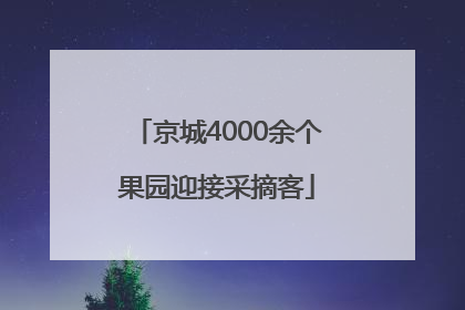 京城4000余个果园迎接采摘客