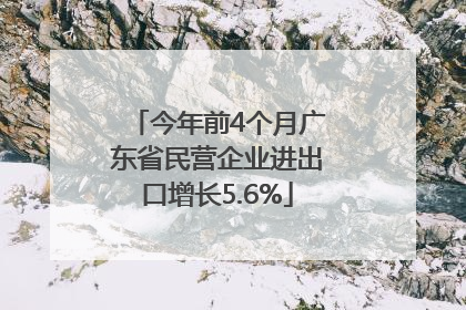 今年前4个月广东省民营企业进出口增长5.6%