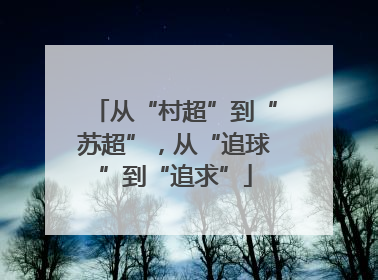从“村超”到“苏超”，从“追球”到“追求”