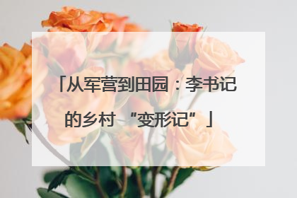 从军营到田园：李书记的乡村 “变形记”
