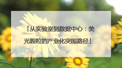 从实验室到数据中心：美光颗粒的产业化突围路径