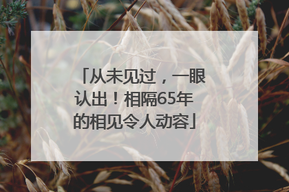 从未见过，一眼认出！相隔65年的相见令人动容