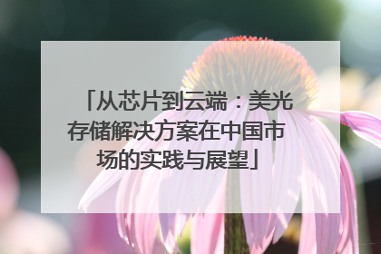 从芯片到云端：美光存储解决方案在中国市场的实践与展望