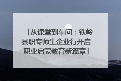 从课堂到车间：铁岭县职专师生企业行开启职业启蒙教育新篇章